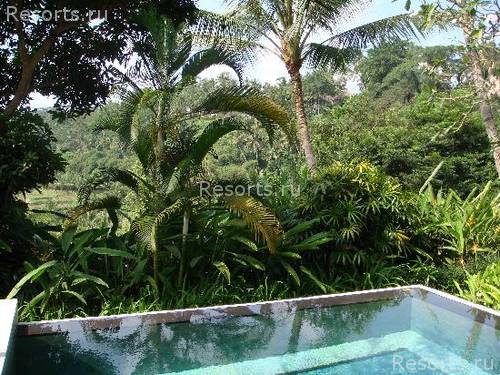 Four Seasons Resort Bali at Sayan 45